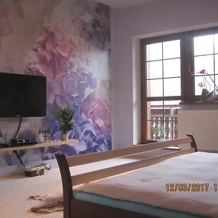 Zlate Pisky Holiday home Nove Krecany